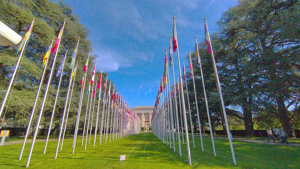 Aleja flag przy Pałacu Narodów w Genewie, fotografia z 2023 roku. Siedziba ONZ, nie dokumentacja posiedzenia 6 października 2026 roku.