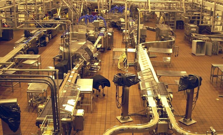 Linia przetwórstwa serów w zakładzie Tillamook w Oregonie, USA, w 2008 roku. Ilustracja technologii mleczarskiej, nie zakład Polmleku ani inwestycja KPO.