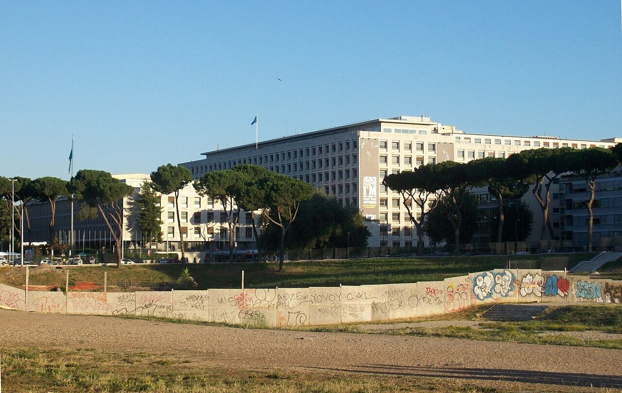 Budynek FAO i Circo Massimo w Rzymie, fotografia z 2012 roku; nie dokumentuje instalacji wystawy 2026