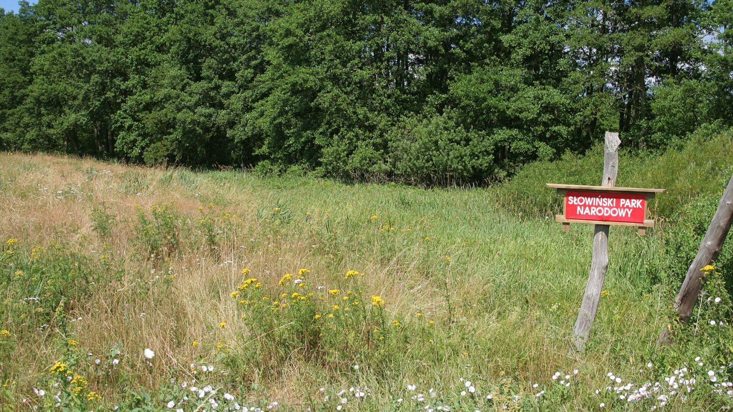 Tablica oznaczająca Słowiński Park Narodowy. Fotografia archiwalna, nie przedstawia działek ani lokalu objętych zarzutami.