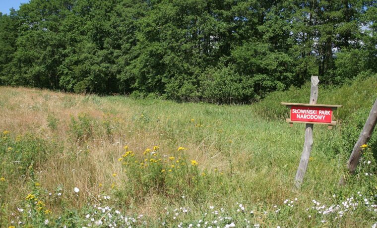 Tablica oznaczająca Słowiński Park Narodowy. Fotografia archiwalna, nie przedstawia działek ani lokalu objętych zarzutami.